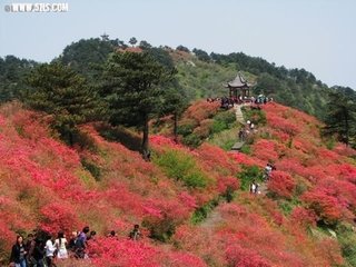 题龟峰