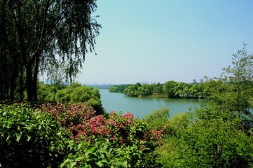 立夏前一日有赋