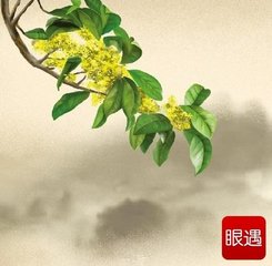 鹧鸪天（次李举之见寄韵）