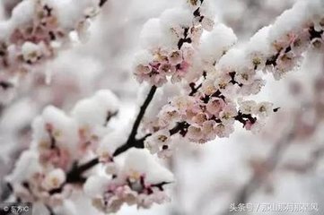 次韵王适春雪二首