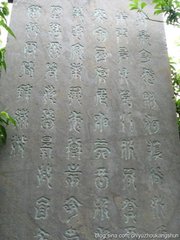 医师行，赠袁炼师