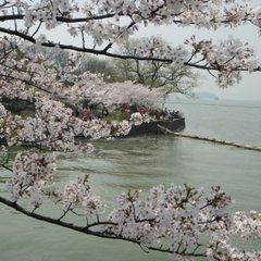 浣溪沙（癸已豫章）