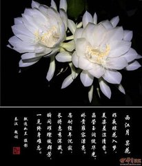 水龙吟·画楼红湿斜阳