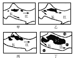 桑落洲