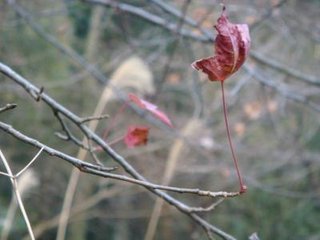 依韵和乌程子著作四首其三早春游南园