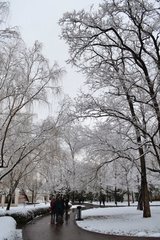 一冬无雨雪而有雷