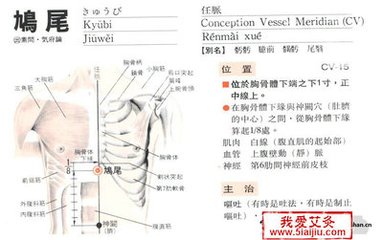 腹自鸠尾循任脉下行至