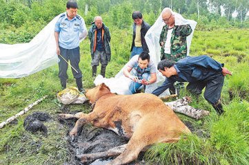 题政黄牛出山图